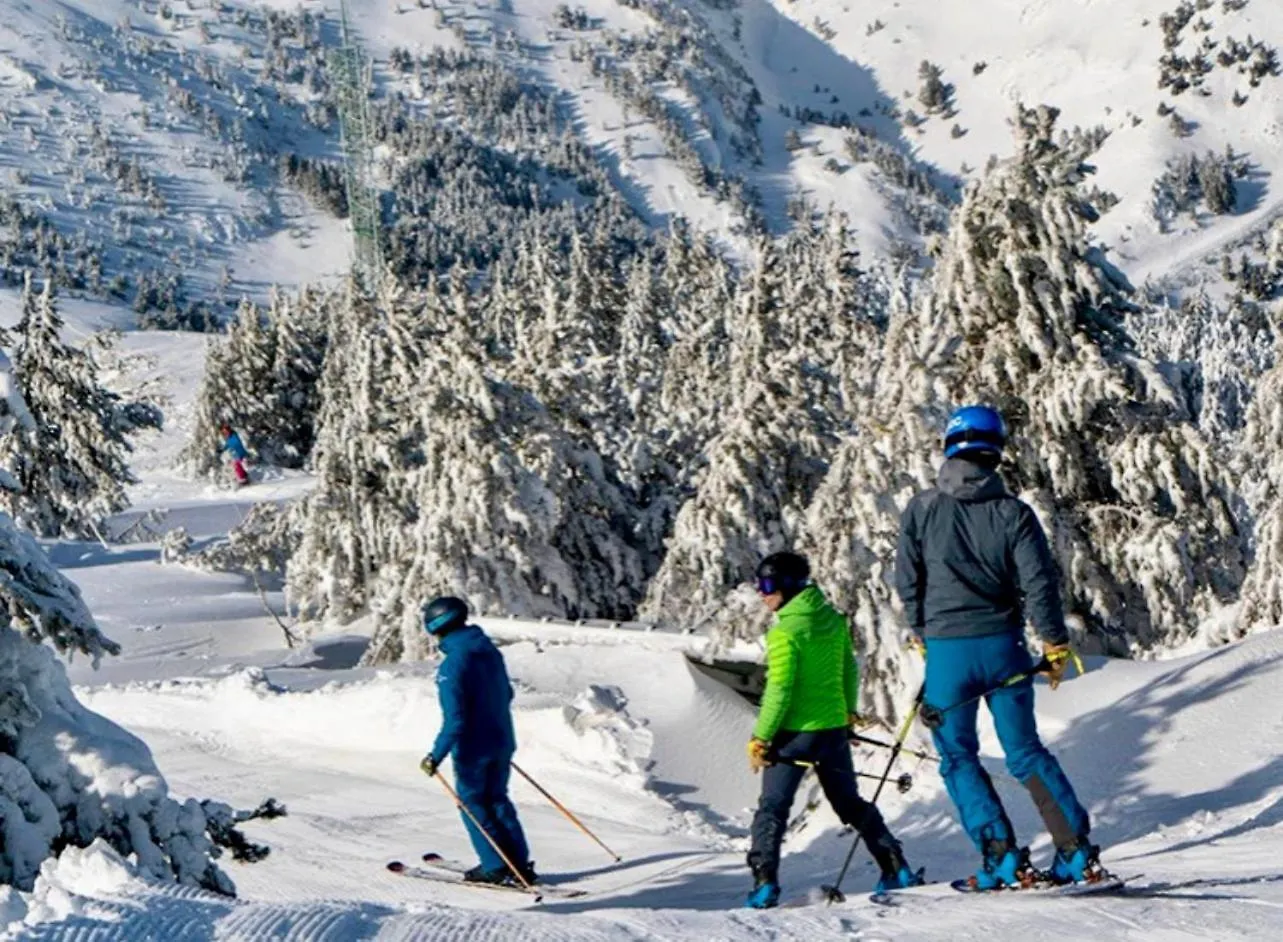 Residencia Pista Llarga Apartment La Molina
